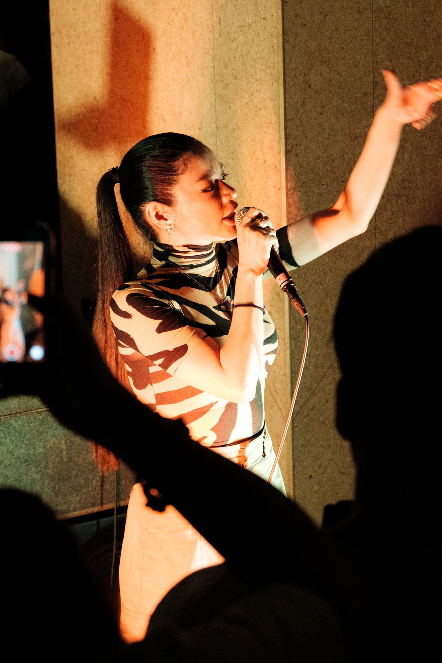 ミュージシャン awich HABUSH エーウィッチのプロデュースによる新世代ハブ酒 ハブッシュが